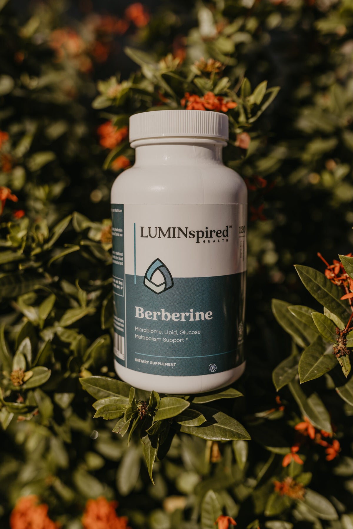 Berberine