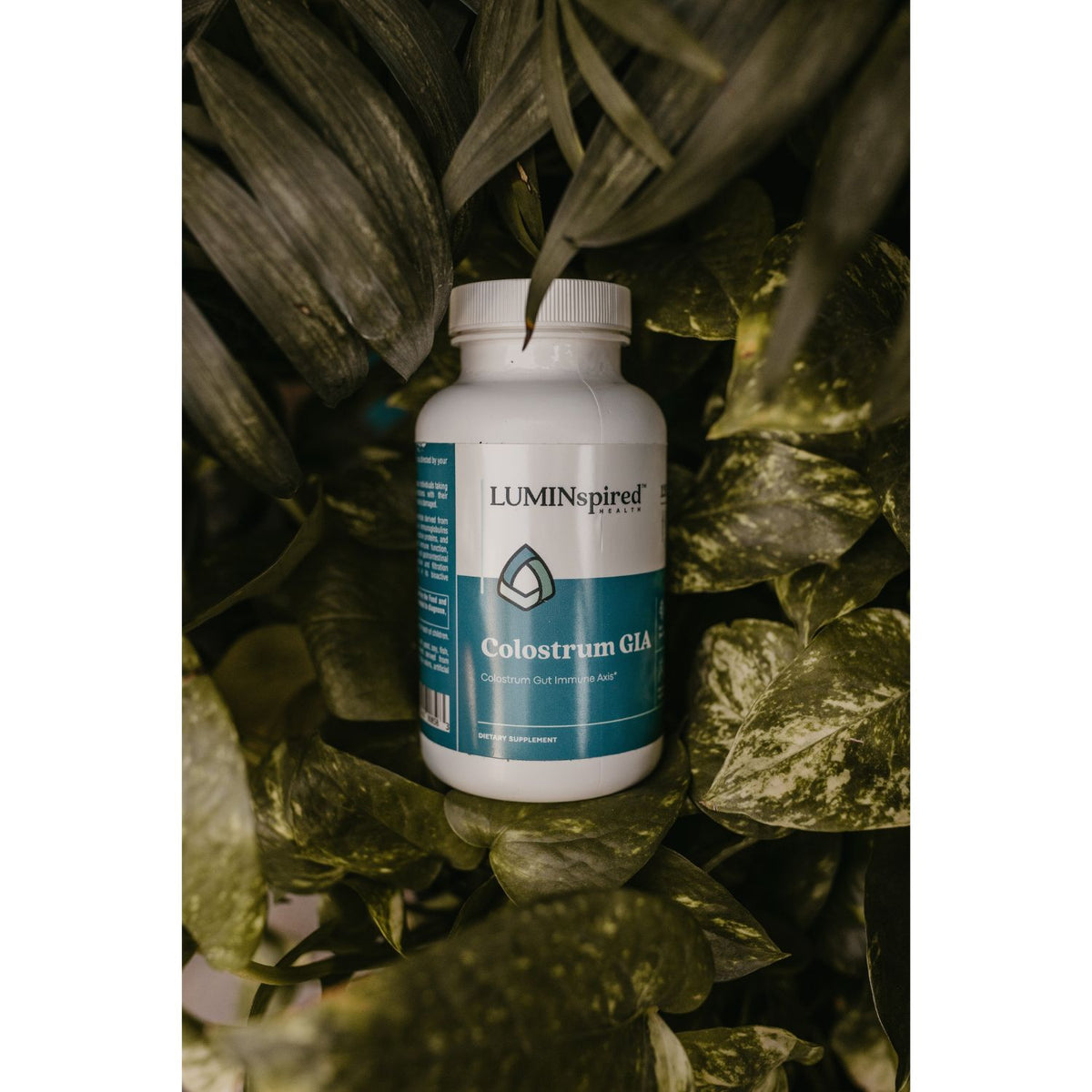 Colostrum GIA